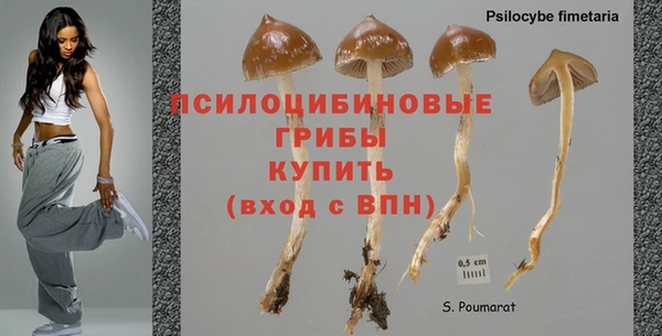 ешки Алзамай