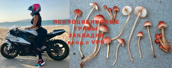 ешки Алзамай
