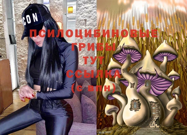 гашик Алексеевка