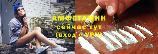 гашик Алексеевка