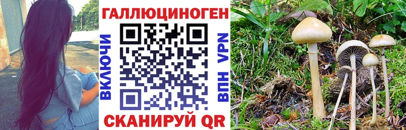 кракен вход  сколько стоит  Неман  Галлюциногенные грибы MAGIC MUSHROOMS 